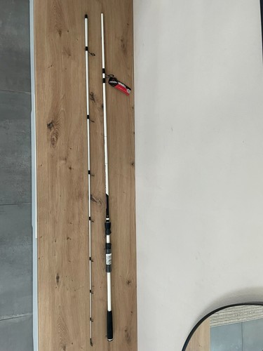 Jenzi okinawa 270cm 30g - cw, 12-30g